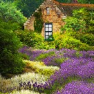 Herbalist's Workshop