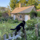 The Cottage