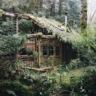 The Safehouse