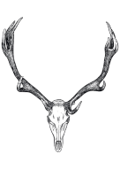 An elk skull; the symbol of Malykan